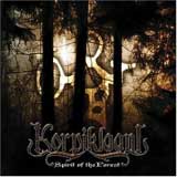 Korpiklaani - Spirit Of The Forest